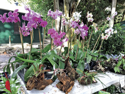 article image -